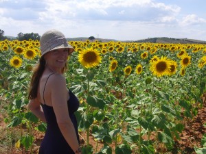 Sunflowers on the ride from Seville to Montecorto