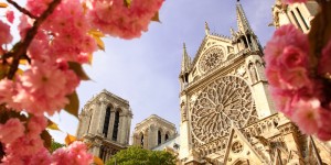 Notre Dame Spring Blog
